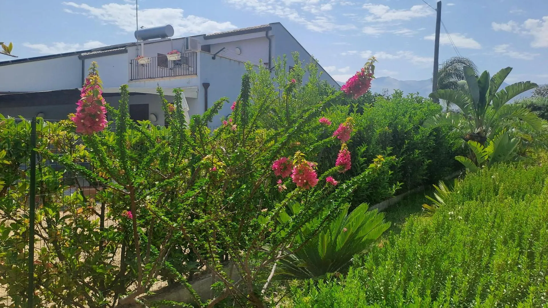 Gaura E Bougainvillea - Villette Vicino Al Mare Lascari 0*,